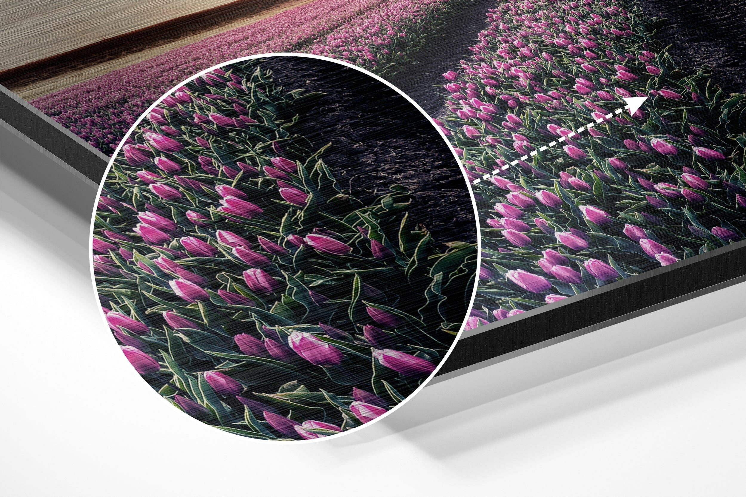Tulip Field Brushed Aluminium Dibond Wall Art.