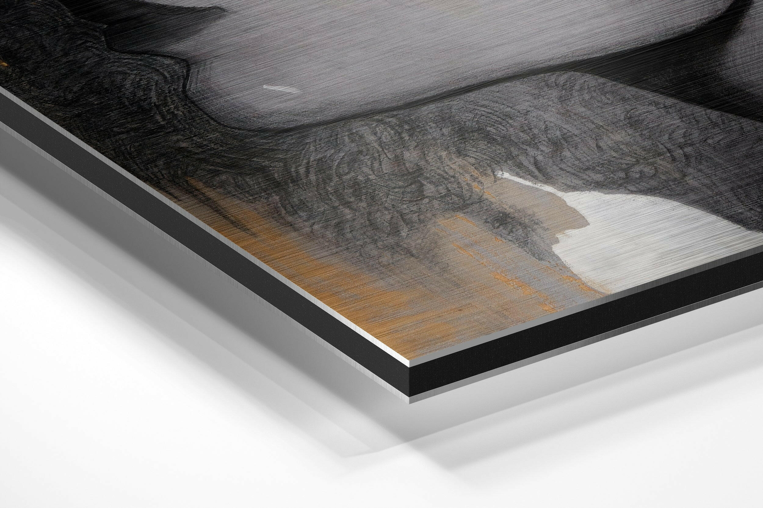 Woman Brushed Aluminium Dibond Wall Art.