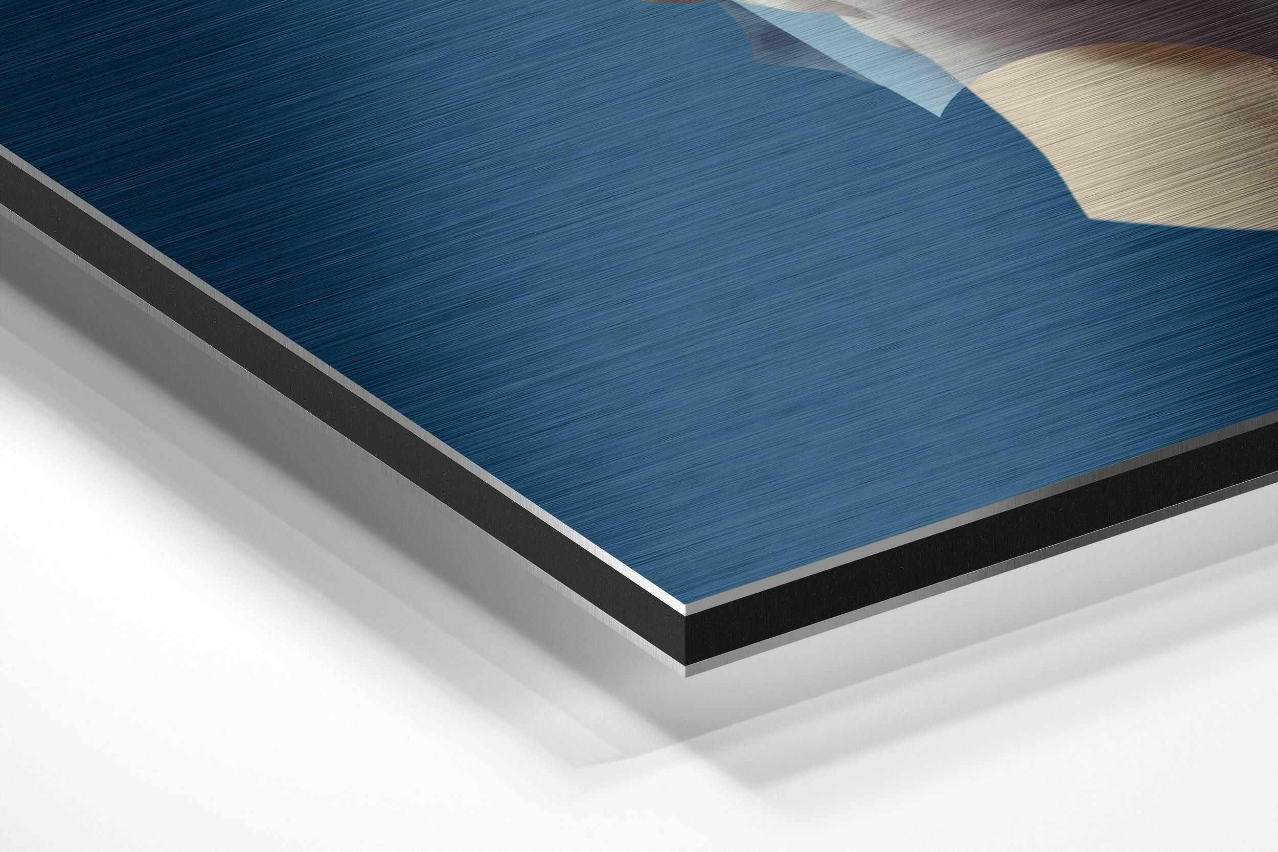 The Art of Sculpture Brushed Aluminium Dibond Wall Art.