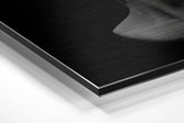 The Art of Sculpture Brushed Aluminium Dibond Wall Art.