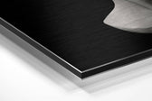The Art of Sculpture Brushed Aluminium Dibond Wall Art.