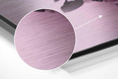 Cute Skull Brushed Aluminium Dibond Wall Art.