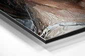 Pure Beauty Brushed Aluminium Dibond Wall Art.