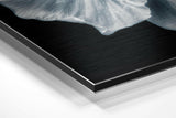Flower Brushed Aluminium Dibond Wall Art.