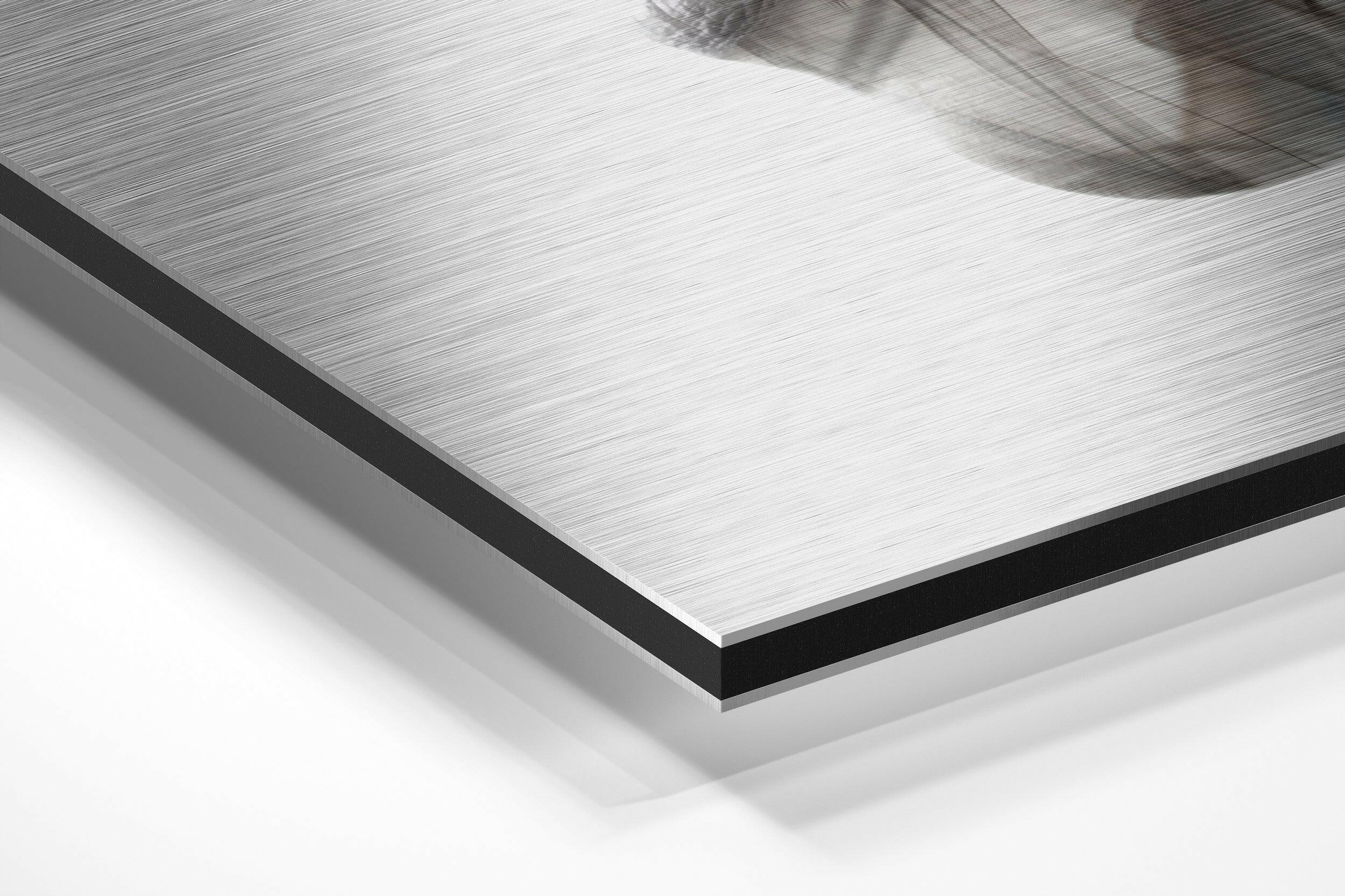 Smoked Face Brushed Aluminium Dibond Wall Art.