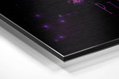 Pisces Brushed Aluminium Dibond Wall Art.