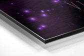 Virgo Brushed Aluminium Dibond Wall Art.