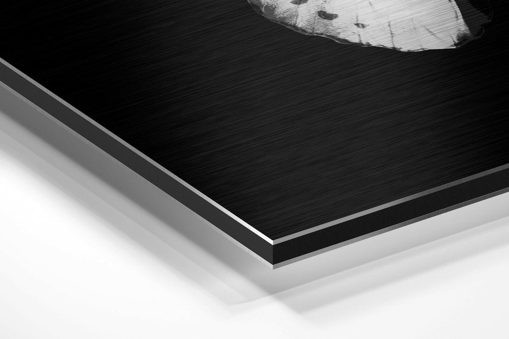 Butterfly Brushed Aluminium Dibond Wall Art.