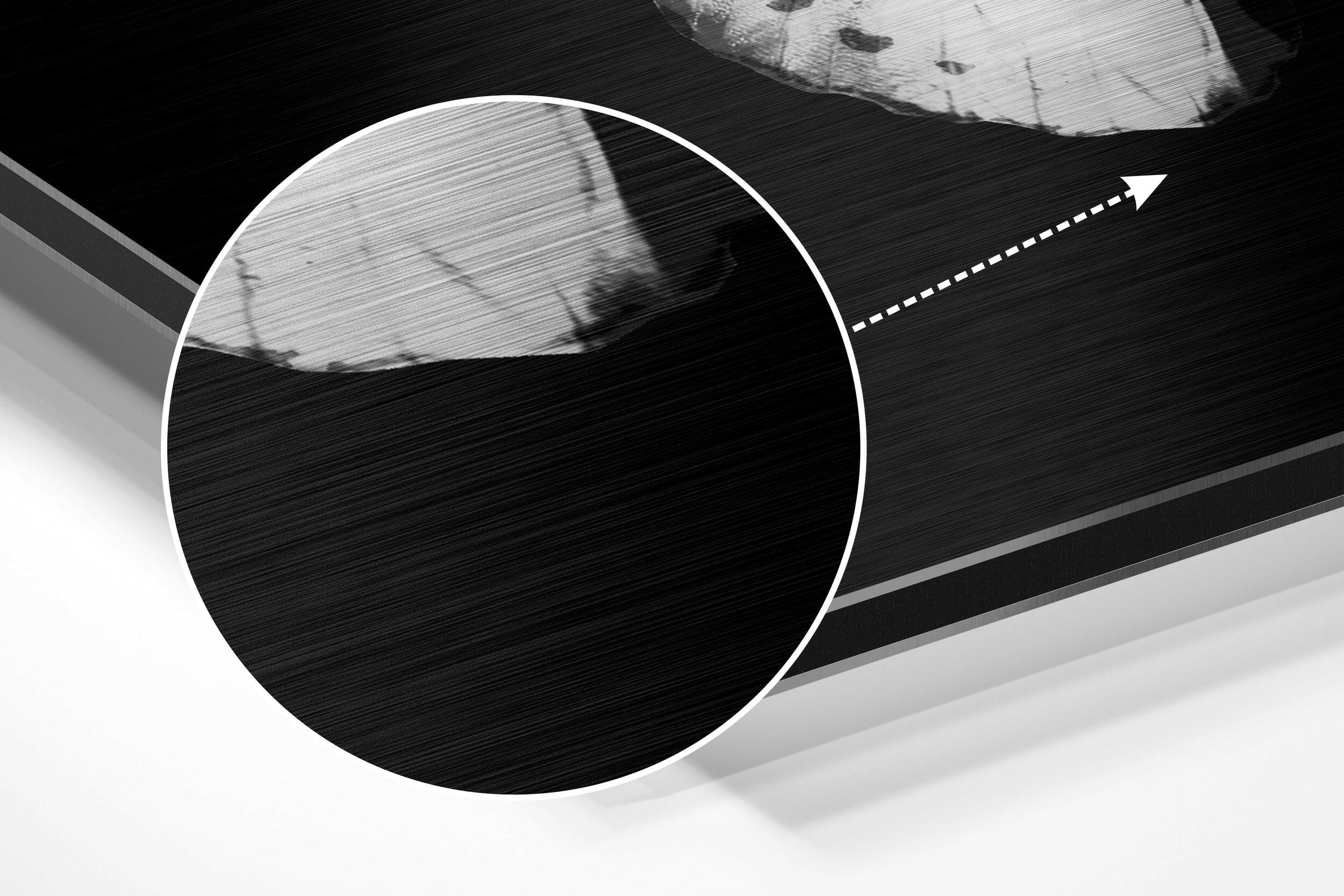 Butterfly Brushed Aluminium Dibond Wall Art.