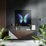 Butterfly Brushed Aluminium Dibond Wall Art.