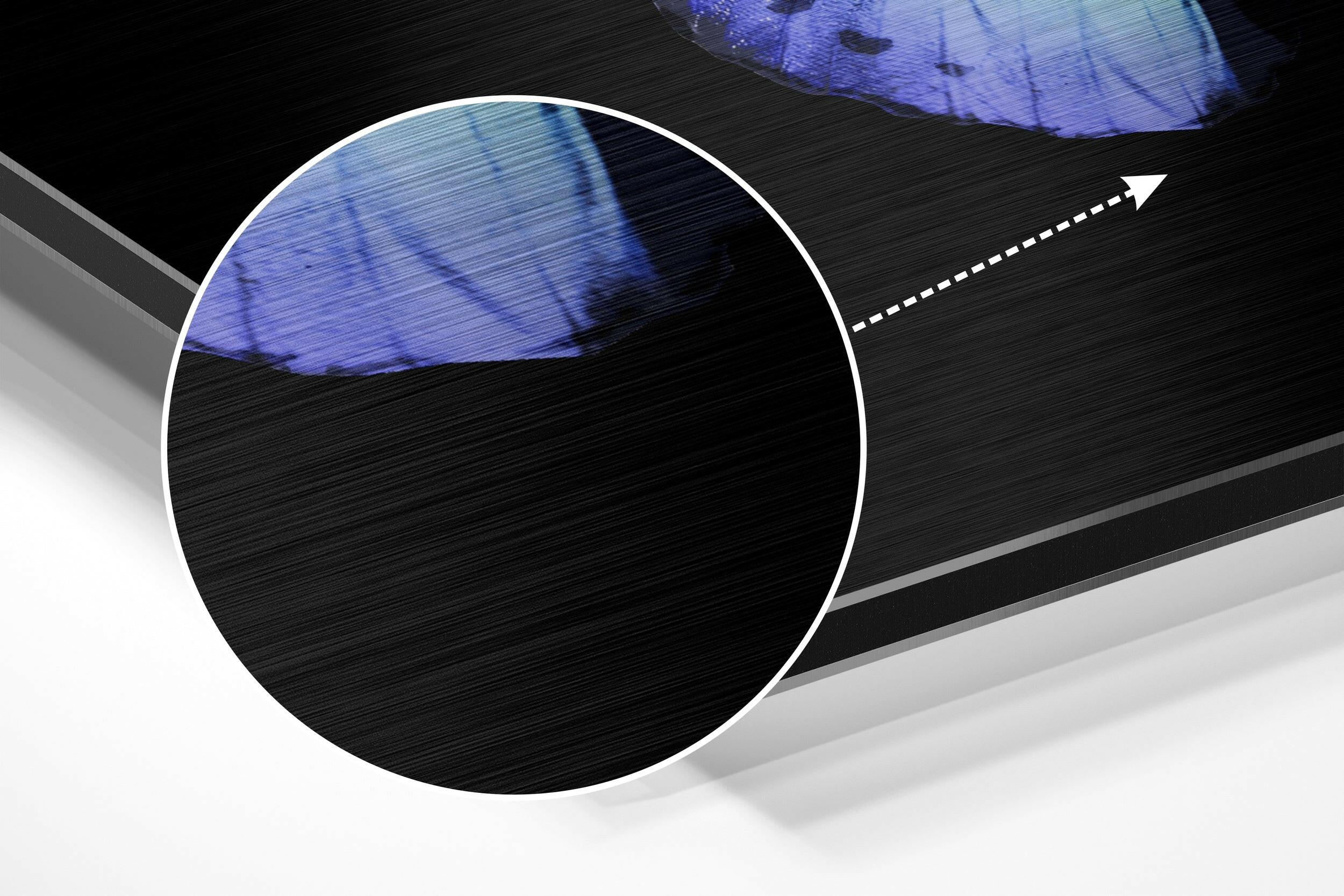 Butterfly Brushed Aluminium Dibond Wall Art.