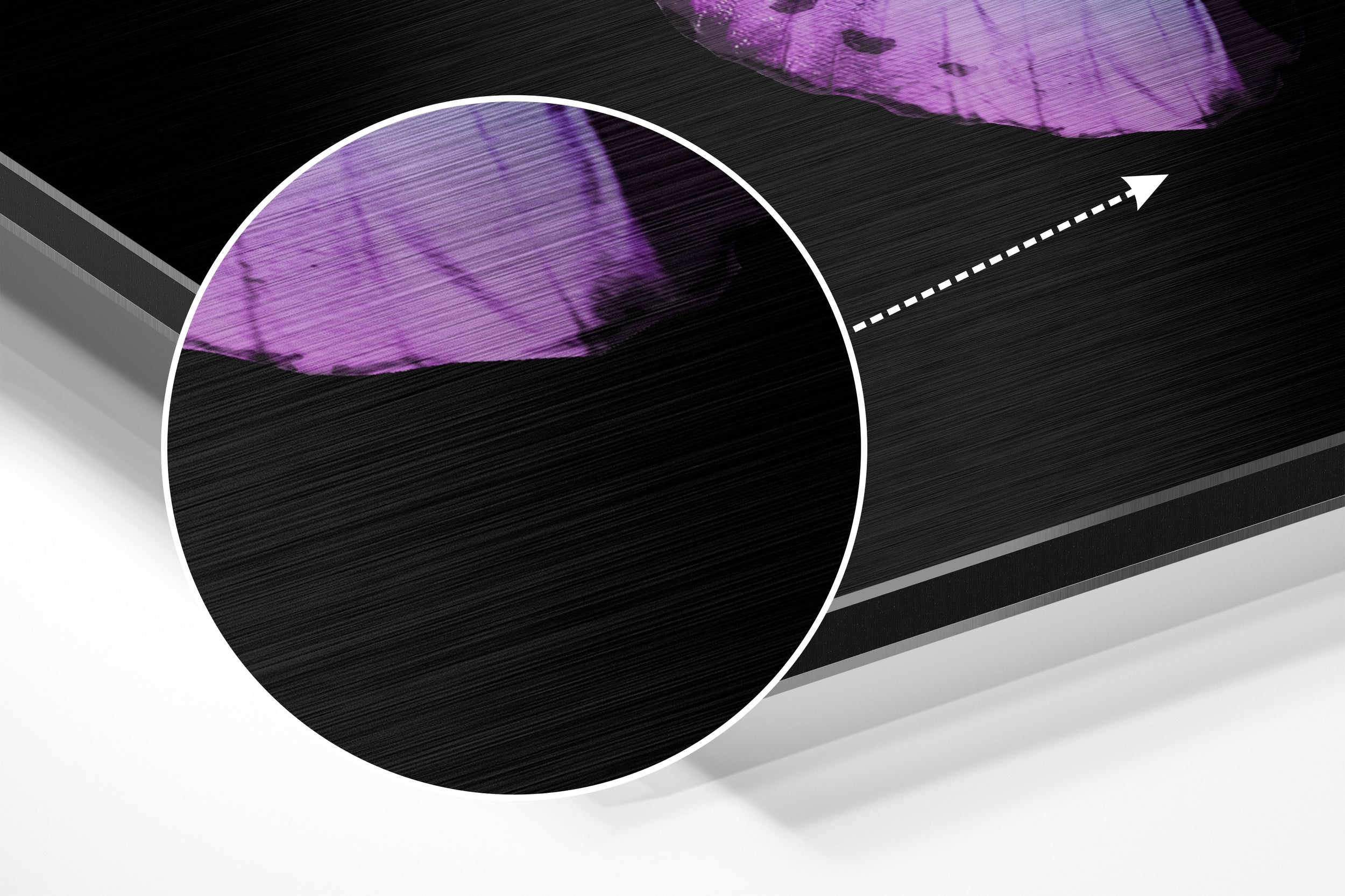 Butterfly Brushed Aluminium Dibond Wall Art.