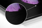 Butterfly Brushed Aluminium Dibond Wall Art.