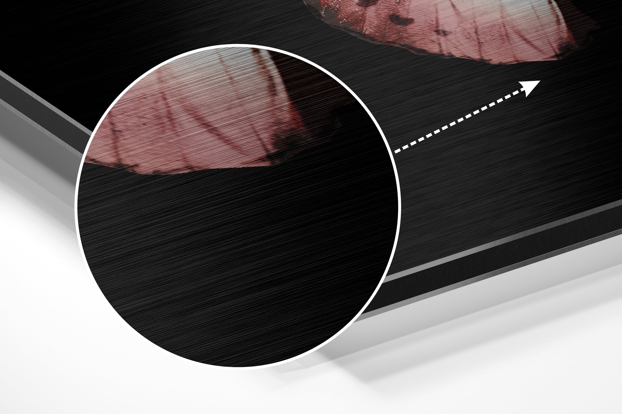 Butterfly Brushed Aluminium Dibond Wall Art.