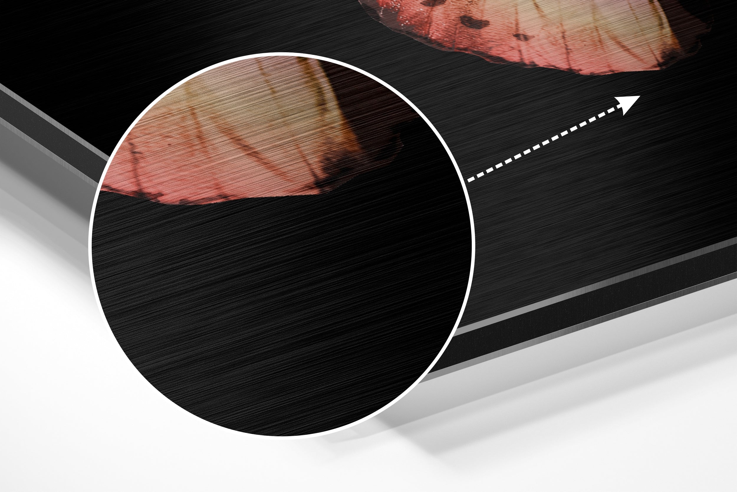 Butterfly Brushed Aluminium Dibond Wall Art.