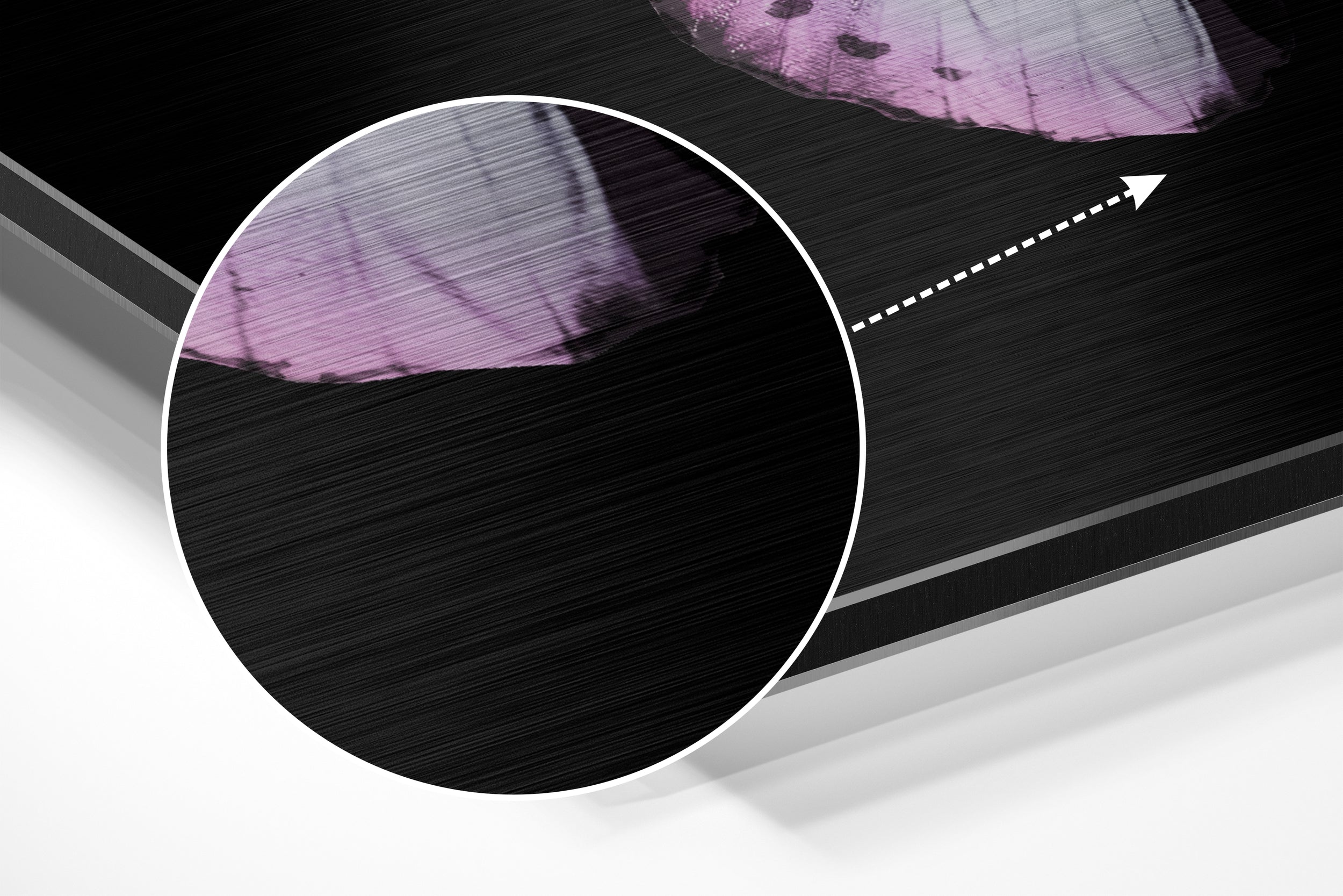 Butterfly Brushed Aluminium Dibond Wall Art.