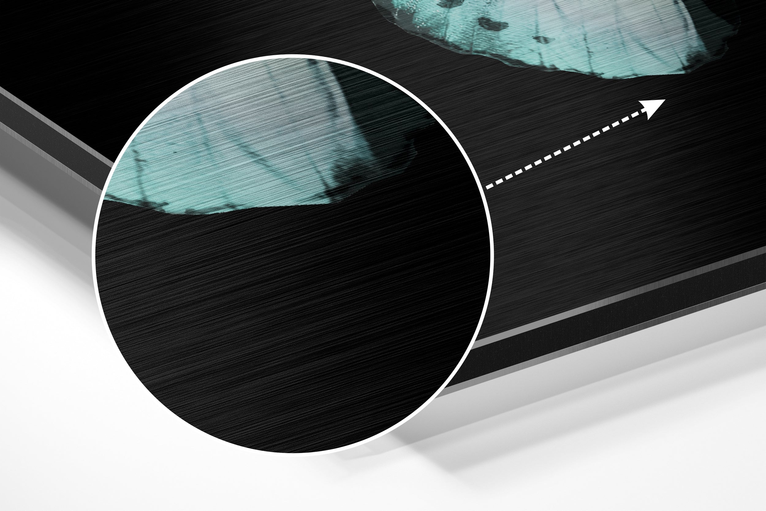 Butterfly Brushed Aluminium Dibond Wall Art.