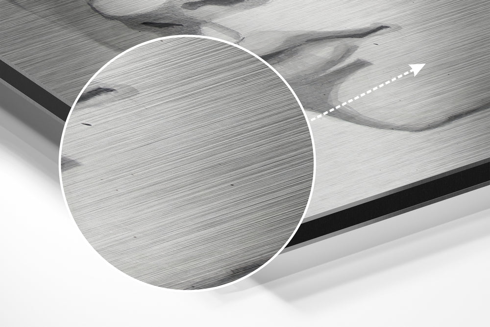 The Kid Brushed Aluminium Dibond Wall Art.