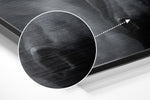 Horse Brushed Aluminium Dibond Wall Art.