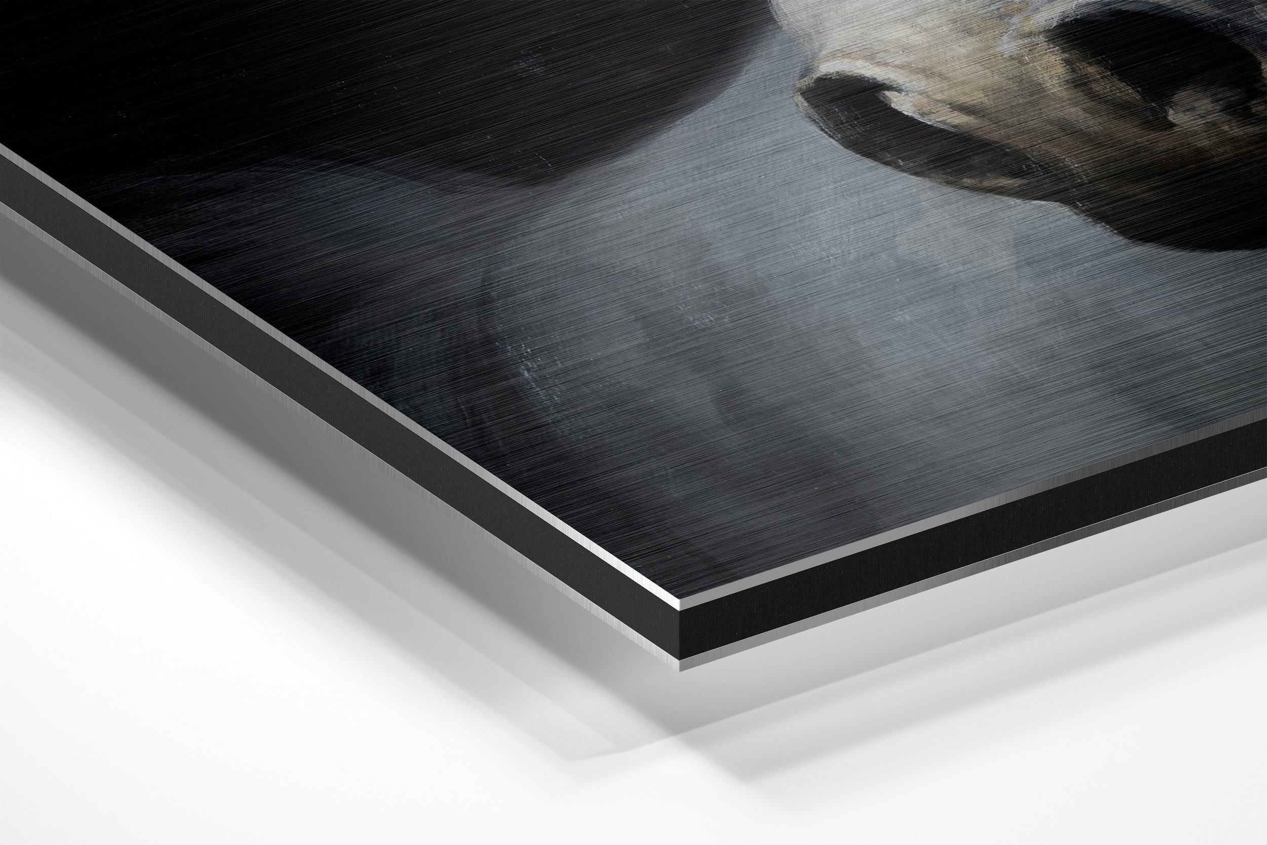 Horse Brushed Aluminium Dibond Wall Art.