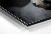 Horse Brushed Aluminium Dibond Wall Art.