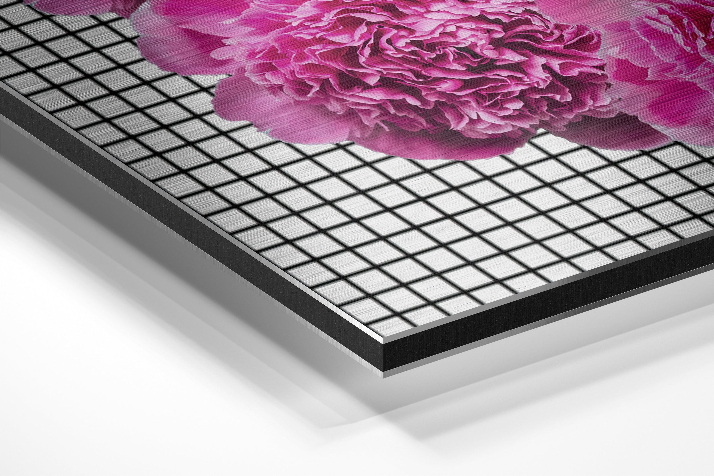 Lips Brushed Aluminium Dibond Wall Art.