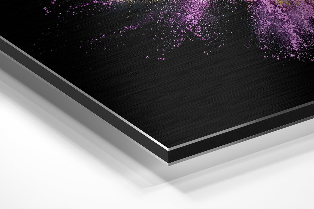 Color Burst Brushed Aluminium Dibond Wall Art.