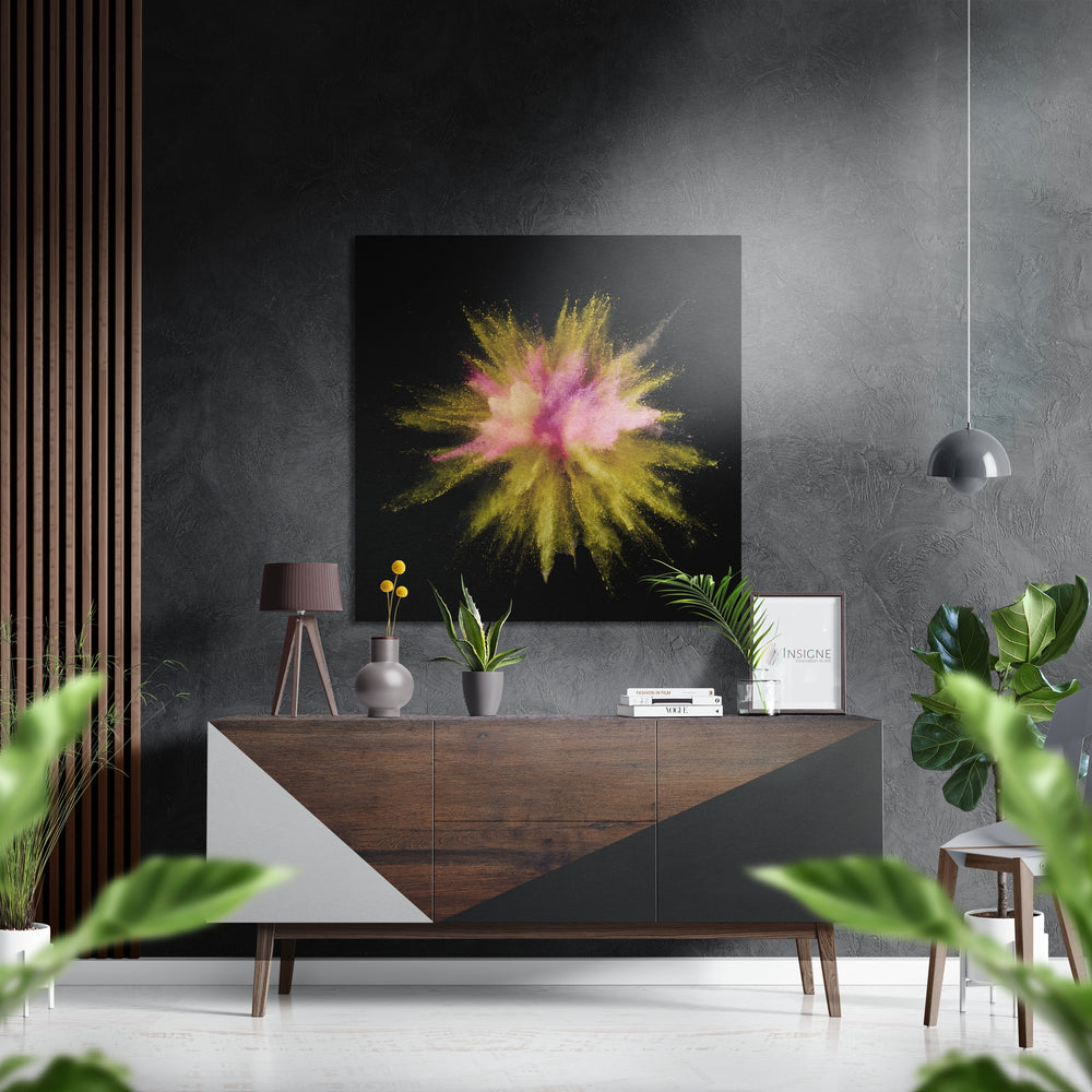Color Burst Brushed Aluminium Dibond Wall Art.