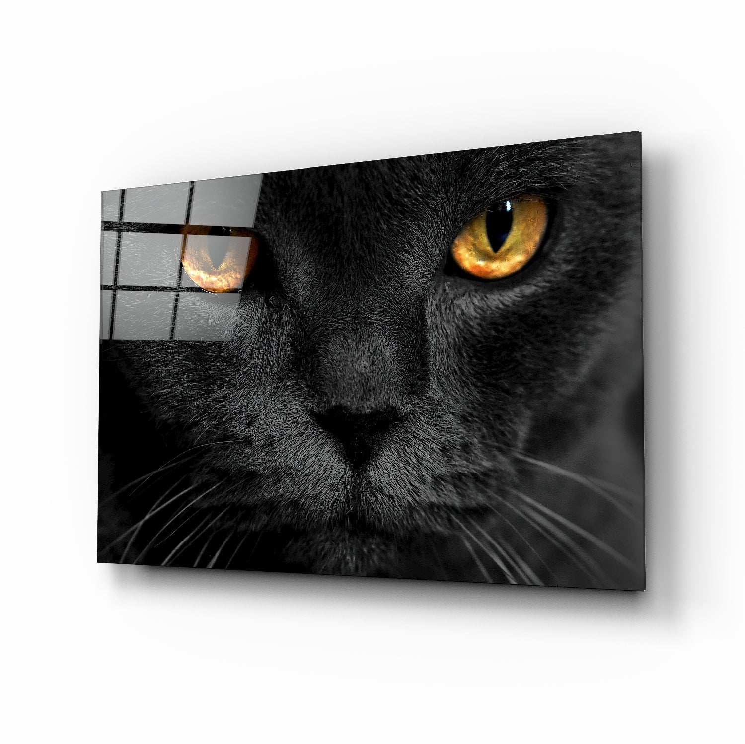 Cat Glass Wall Art | Insigne Art Design