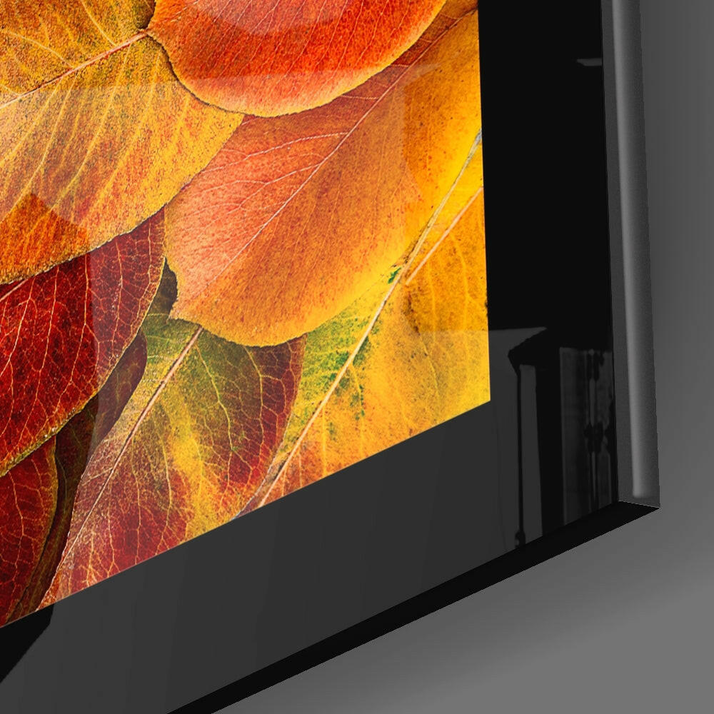 Autumn Leaves Glass Wall Art.