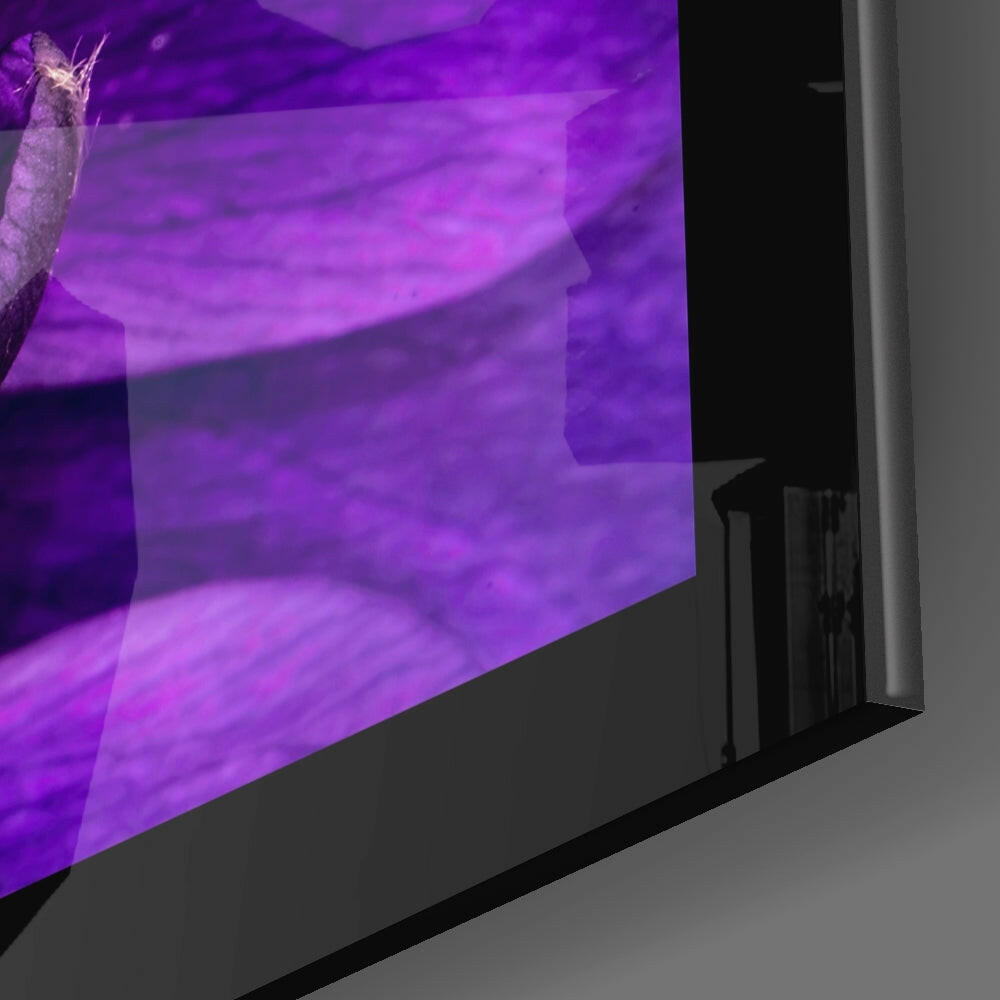 Passionflower Flower Glass Wall Art.