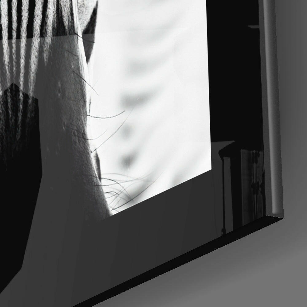 Zebra Glass Wall Art.