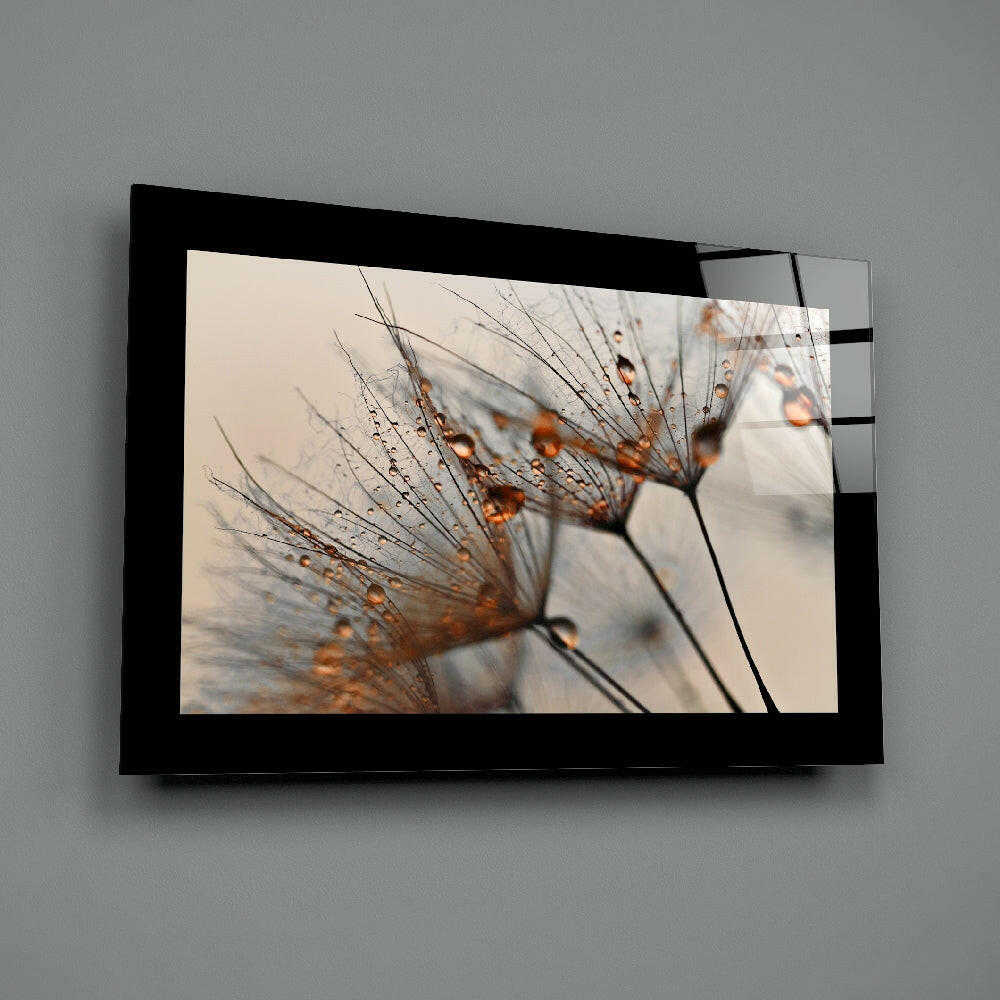 Cinnamon Dandelion Glass Wall Art.