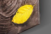 Selective-color macro cinematic glass wall art in heritage living room