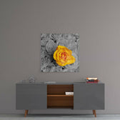 Yellow Rose Glass Wall Art.