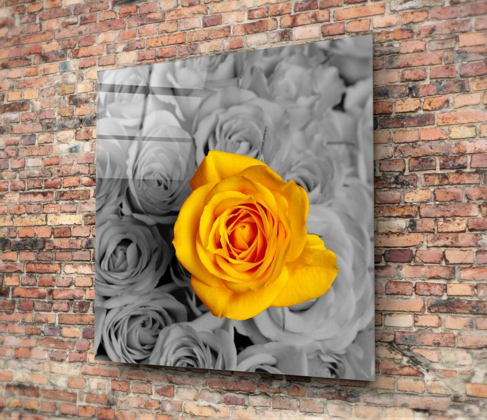 Yellow Rose Glass Wall Art.