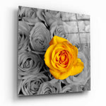 Yellow Rose Glass Wall Art.