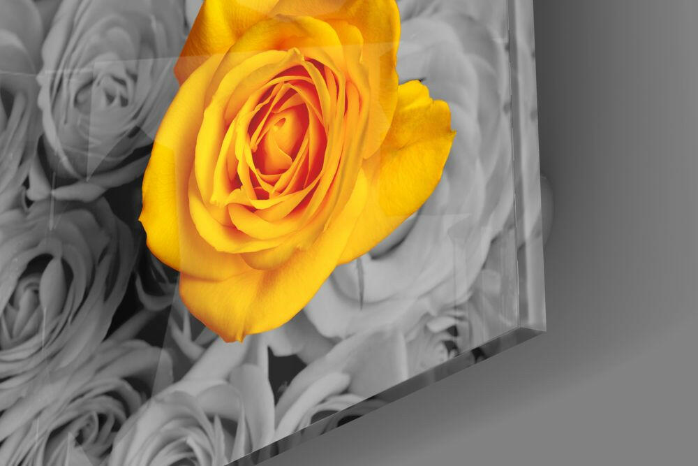 Yellow Rose Glass Wall Art.