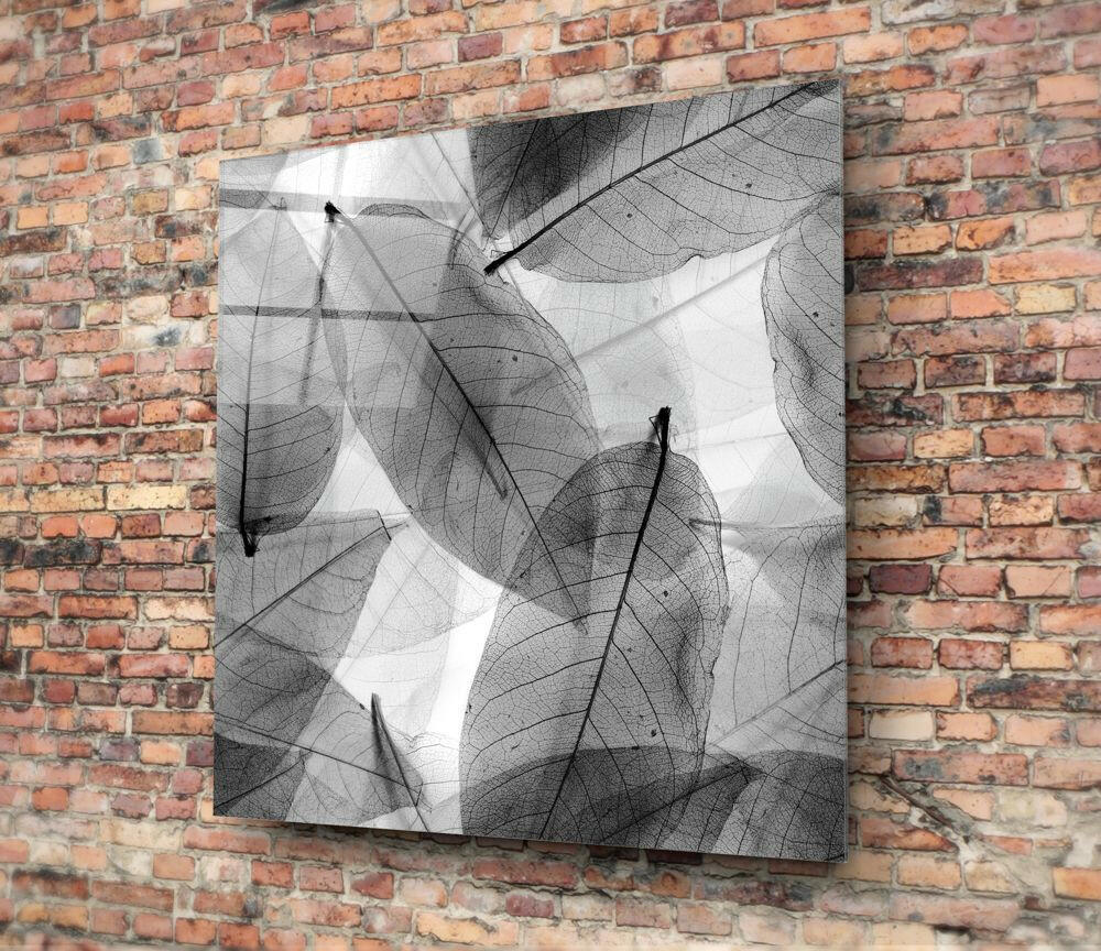Black and White Leaves Glass Wall Art.