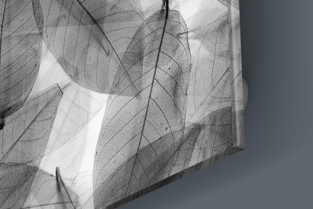 Black and White Leaves Glass Wall Art.