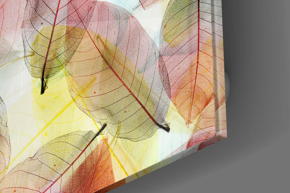Colorful Leaves Glass Wall Art.
