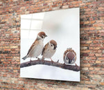 Birds Glass Wall Art.