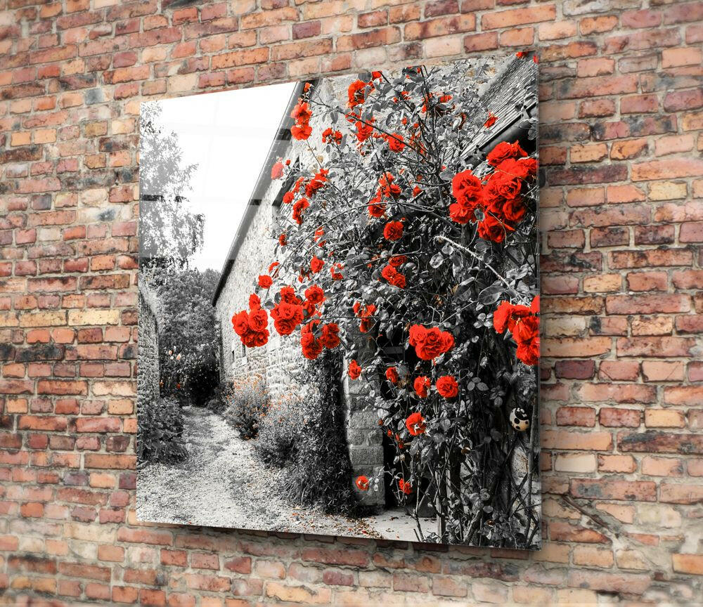 Red Roses Glass Wall Art.