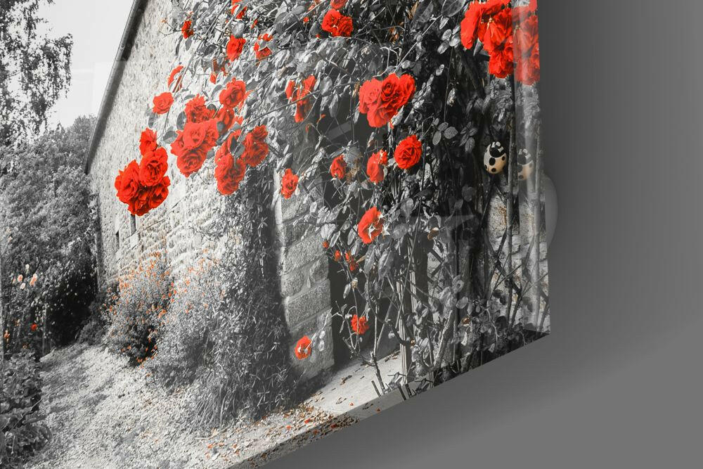 Red Roses Glass Wall Art.