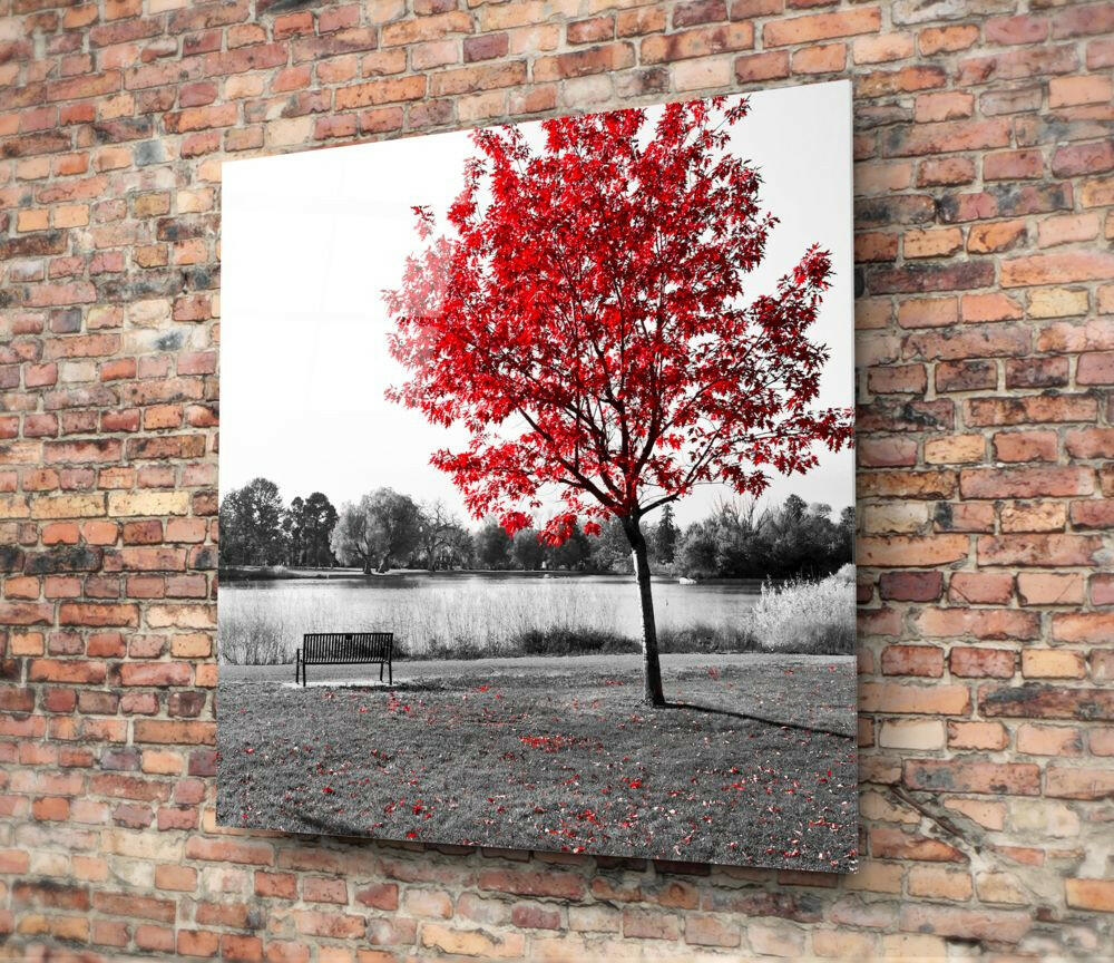 Red Tree Glass Wall Art.