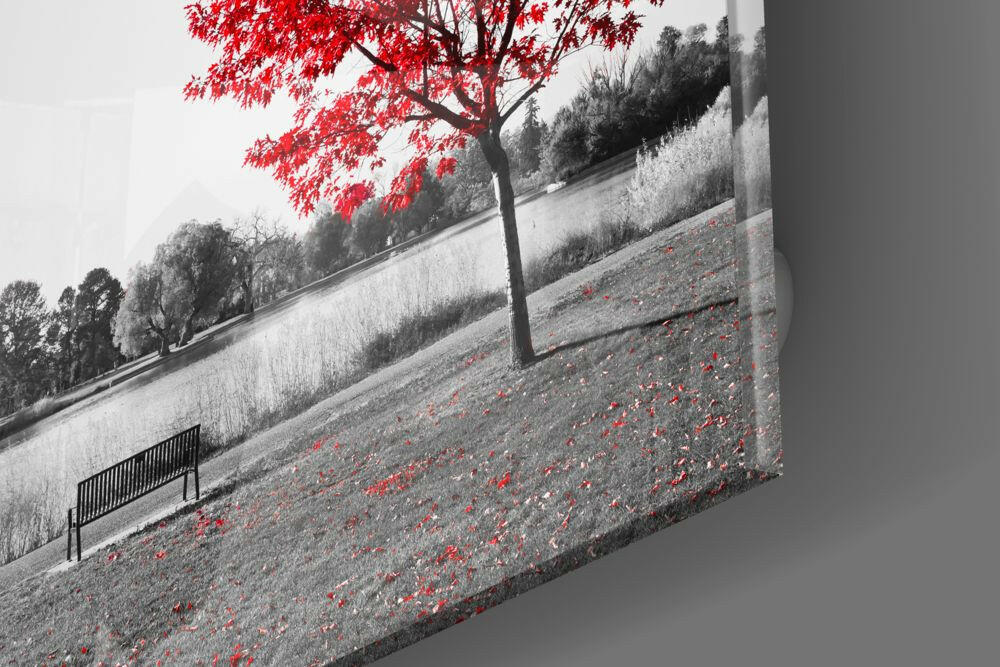 Red Tree Glass Wall Art.