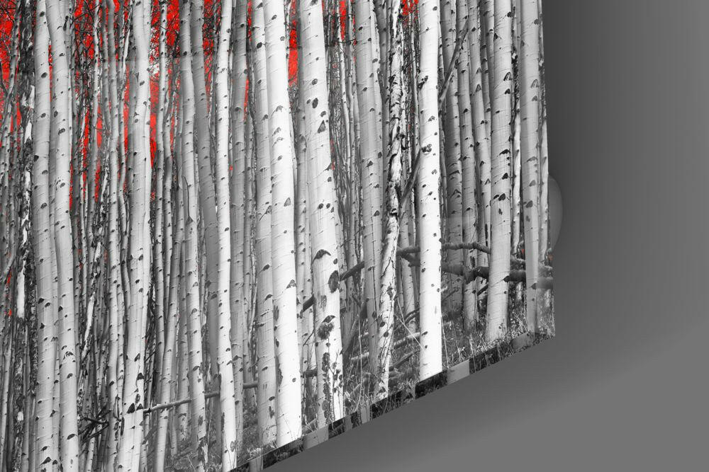 Red Forest Glass Wall Art.