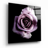 Purple Rose Glass Wall Art.