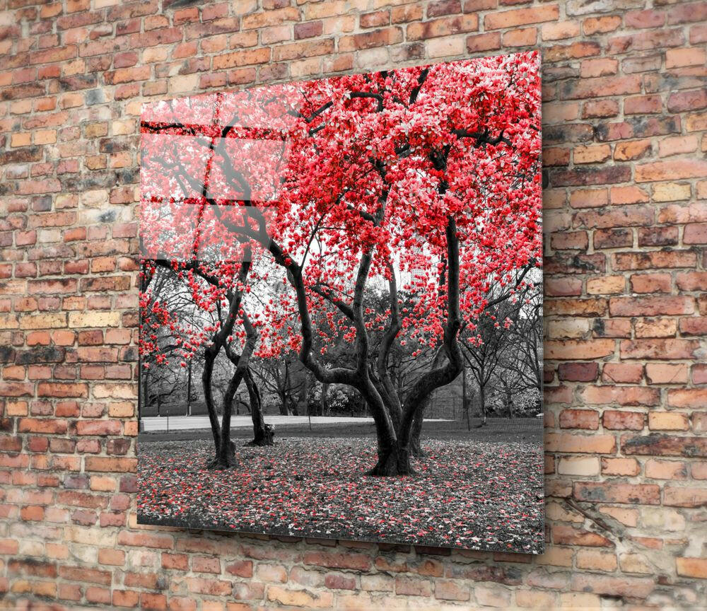 Red Tree Glass Wall Art.