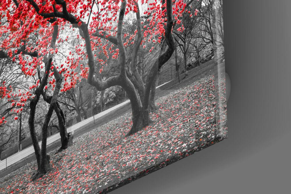 Red Tree Glass Wall Art.